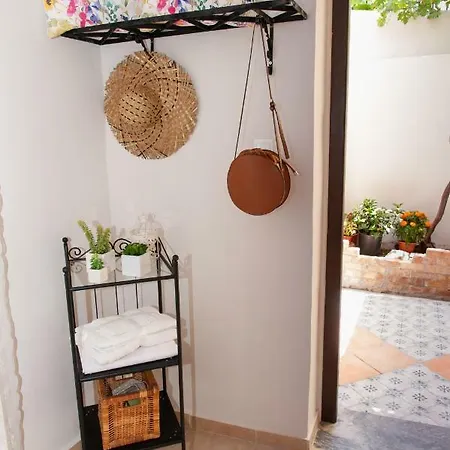 17 Flats And Roof Garden 公寓 雅典
